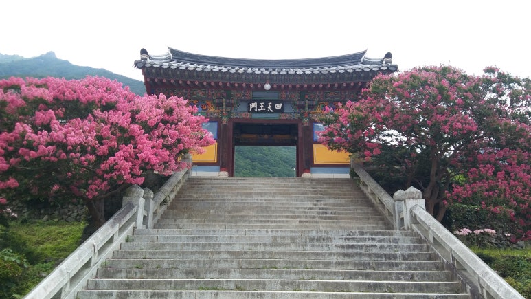 법무사정용이사무소 이미지