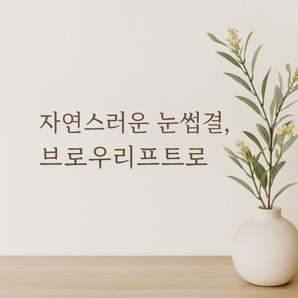 아이블라썸 서울대입구속눈썹 이미지