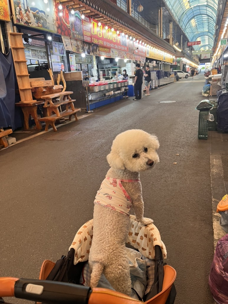 대성야채만두 이미지