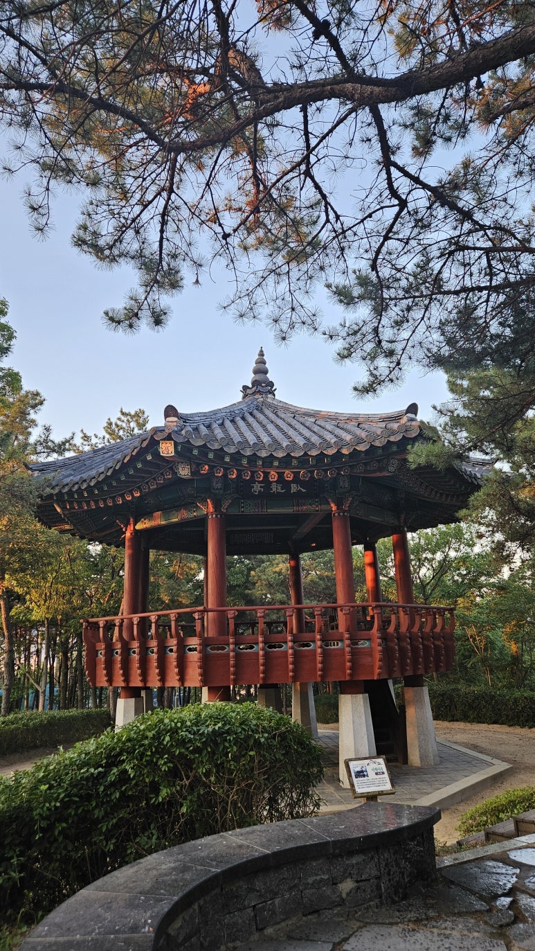 용강농원 이미지