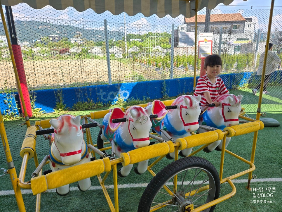 양주 더 맑음 이미지