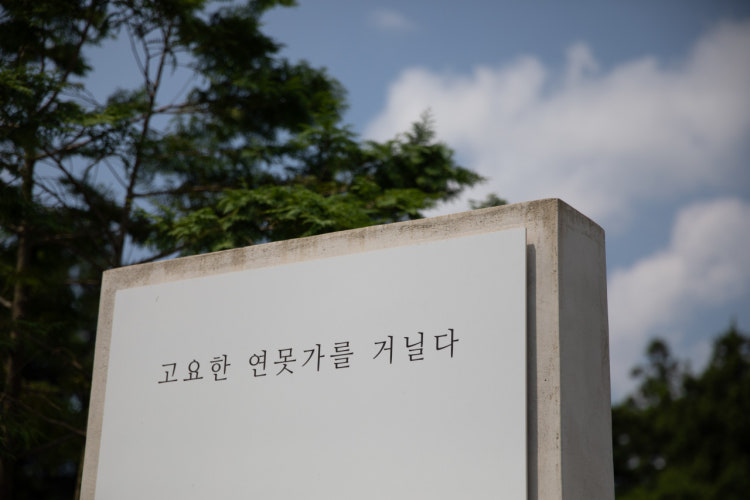 제주 자연속에서 이미지