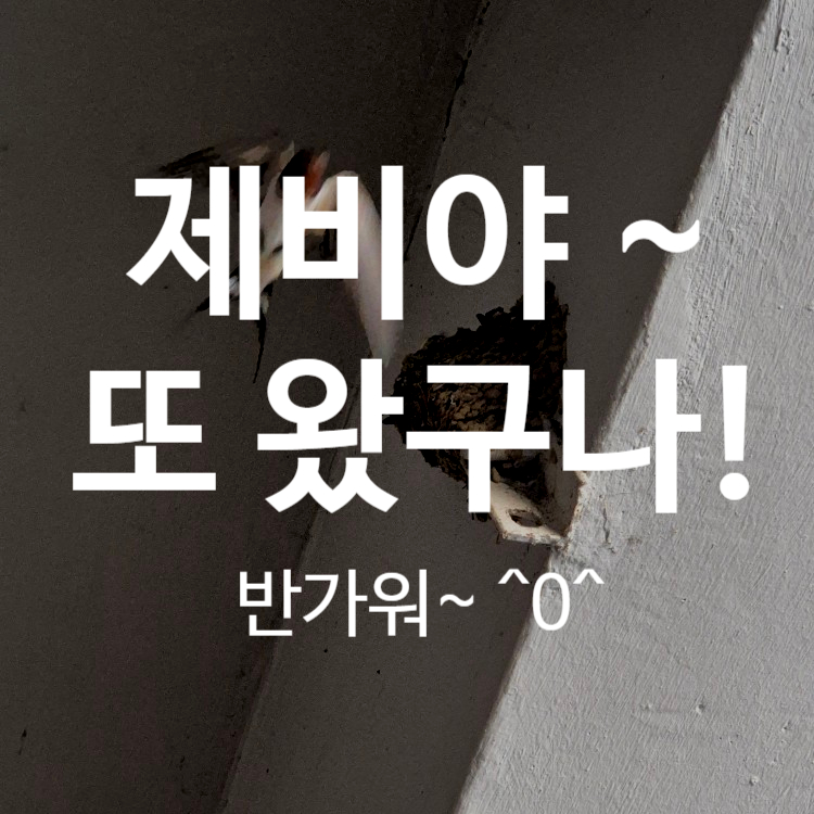 경산중앙요양보호사교육원 이미지