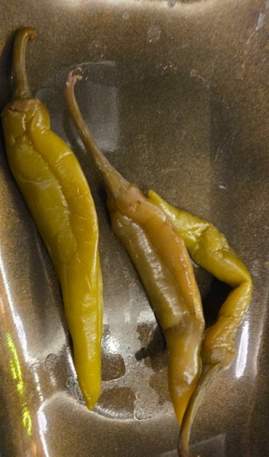 오밤족 이미지