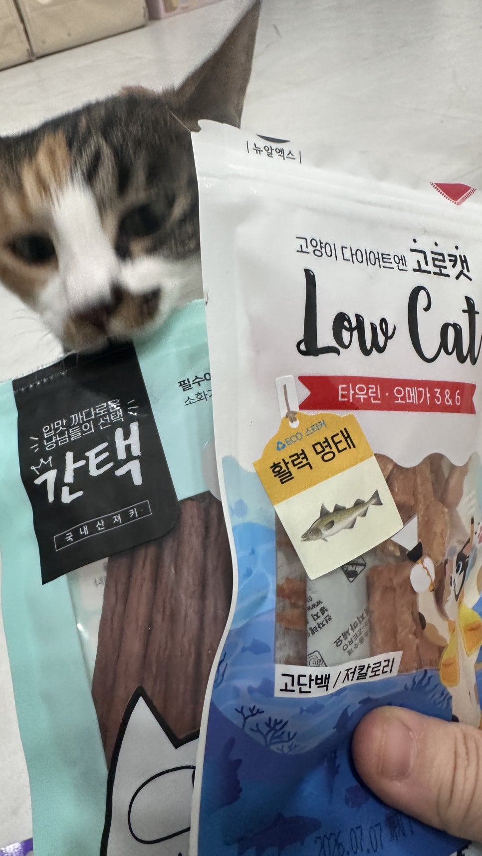 멍냥창고 이미지