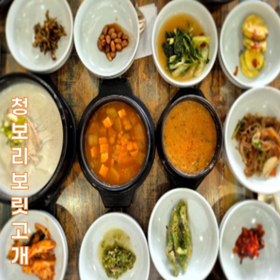 청보리보릿고개 이미지