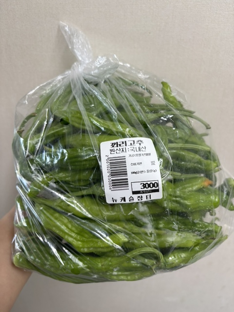 뉴캐슬장터 이미지