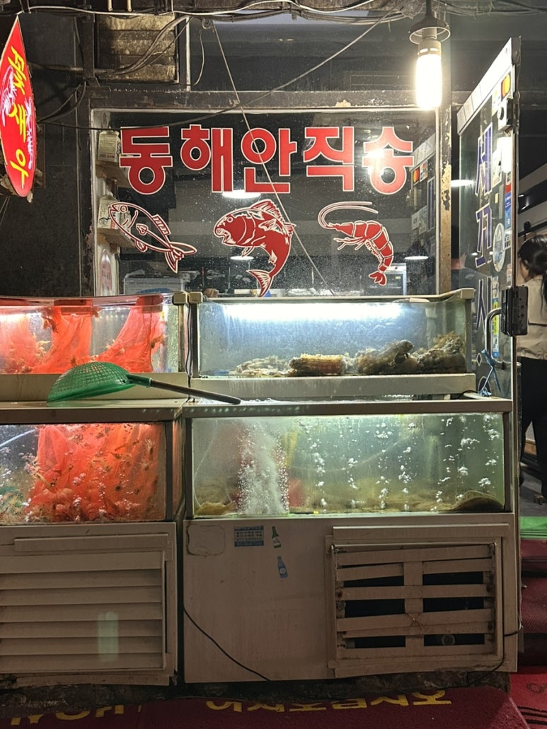 세꼬시닷컴 이미지