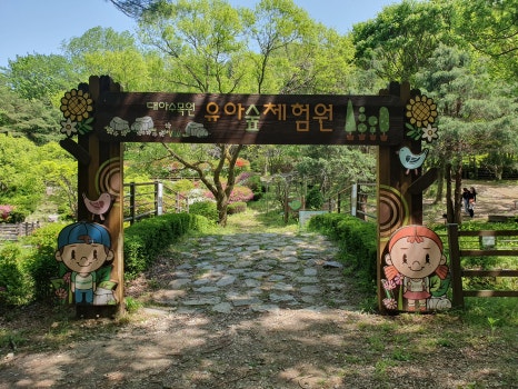 수목 비교 관찰원 이미지