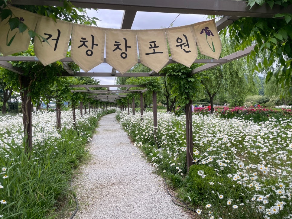 다리여행사 이미지