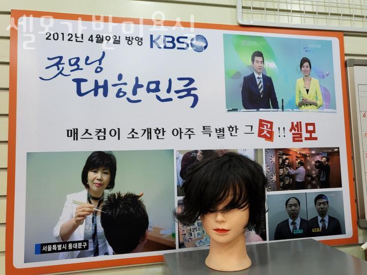 셀모가발 이미지