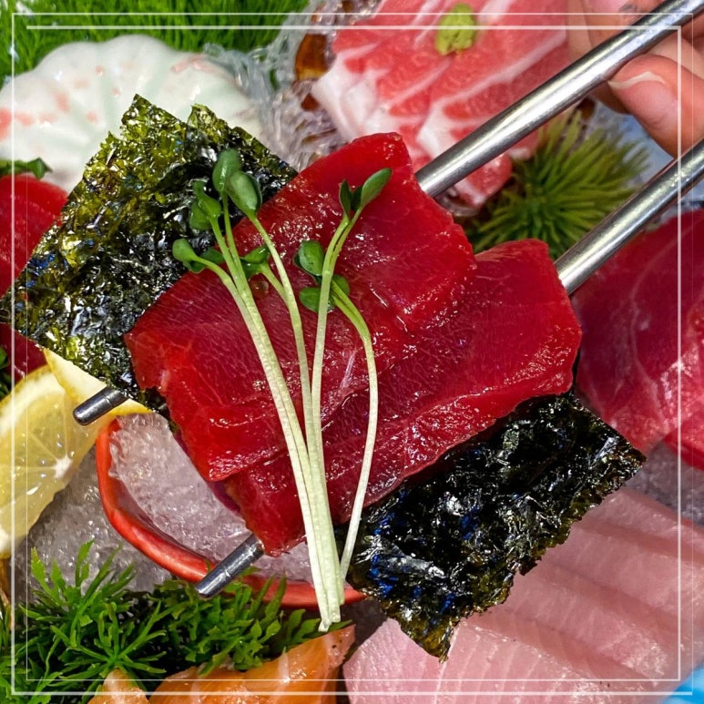 올참치 이미지