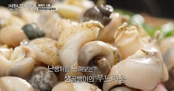 삼척골뱅이 이미지