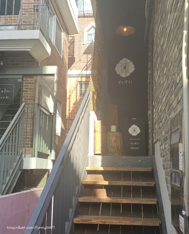 데이스이 이미지