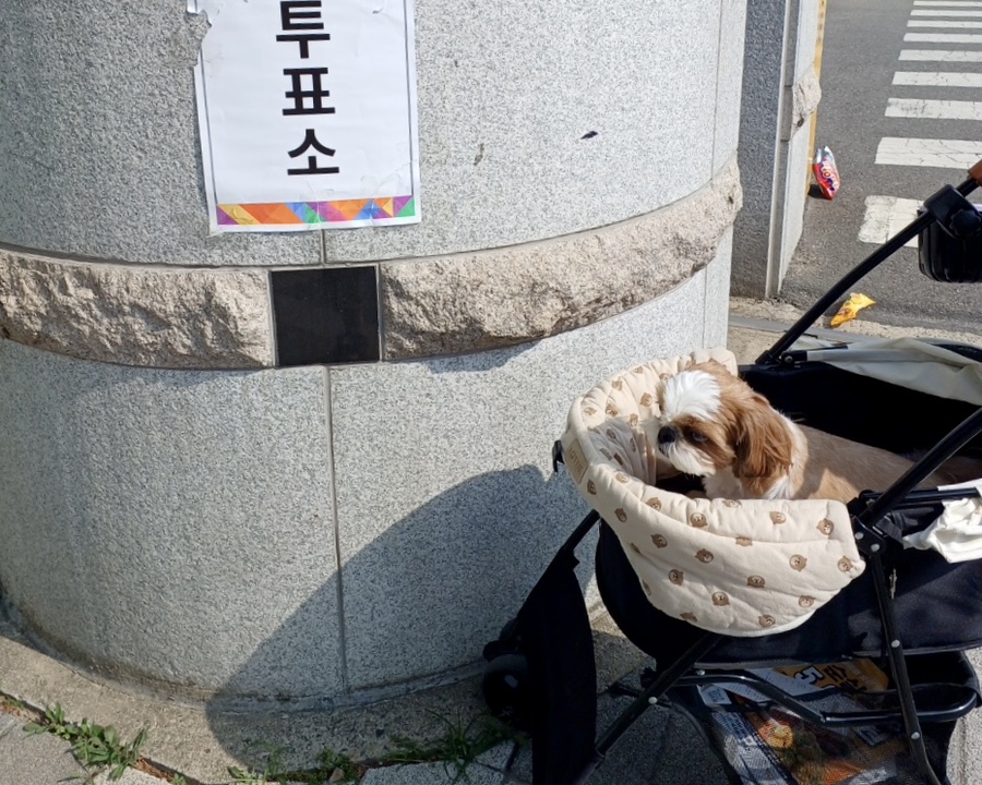 현풍닭칼국수김천 이미지