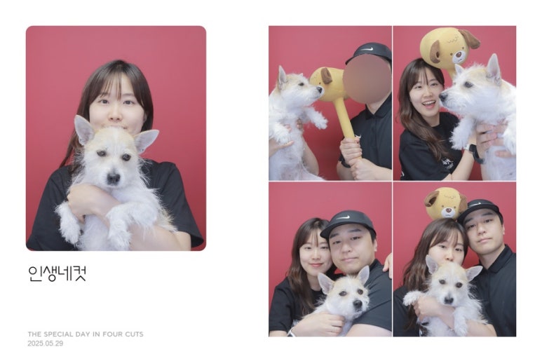 빵꾸네놀이터 이미지