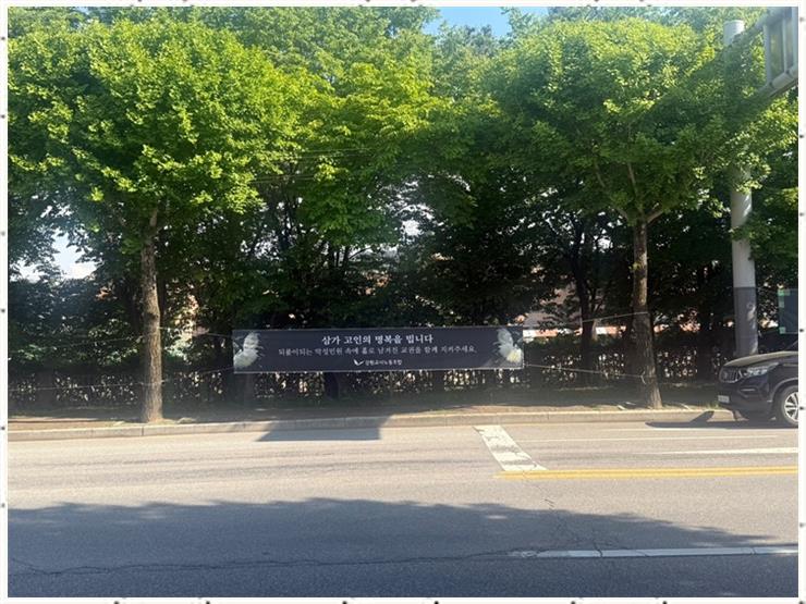 드림애드 이미지