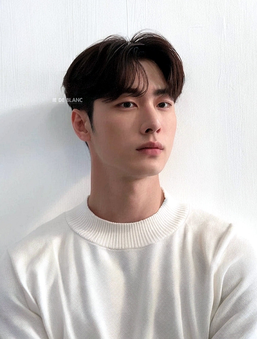 아이드블랑 이미지