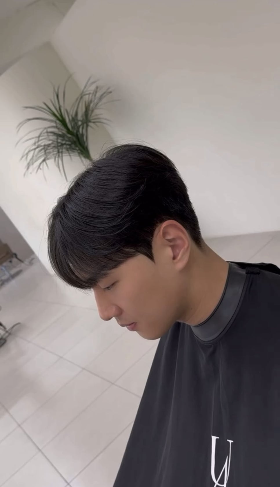 신정수석 이미지