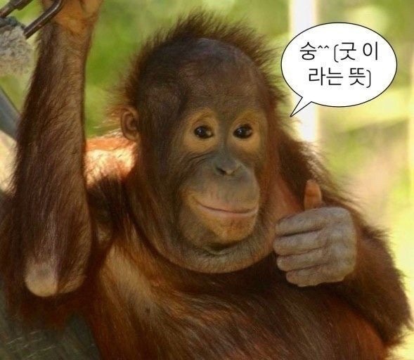 뛰뛰멍 이미지
