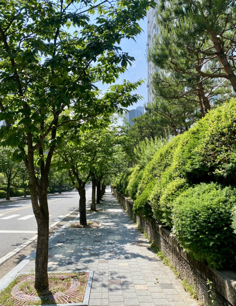 허니펀키즈파크 이미지