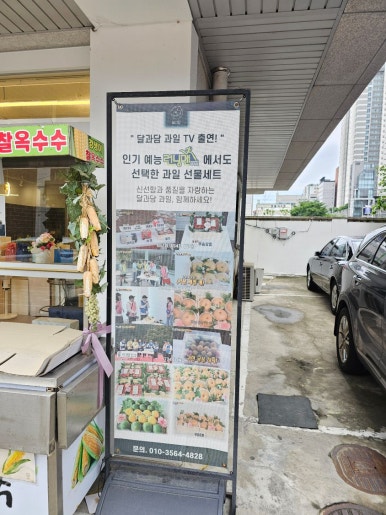 달과담 이미지