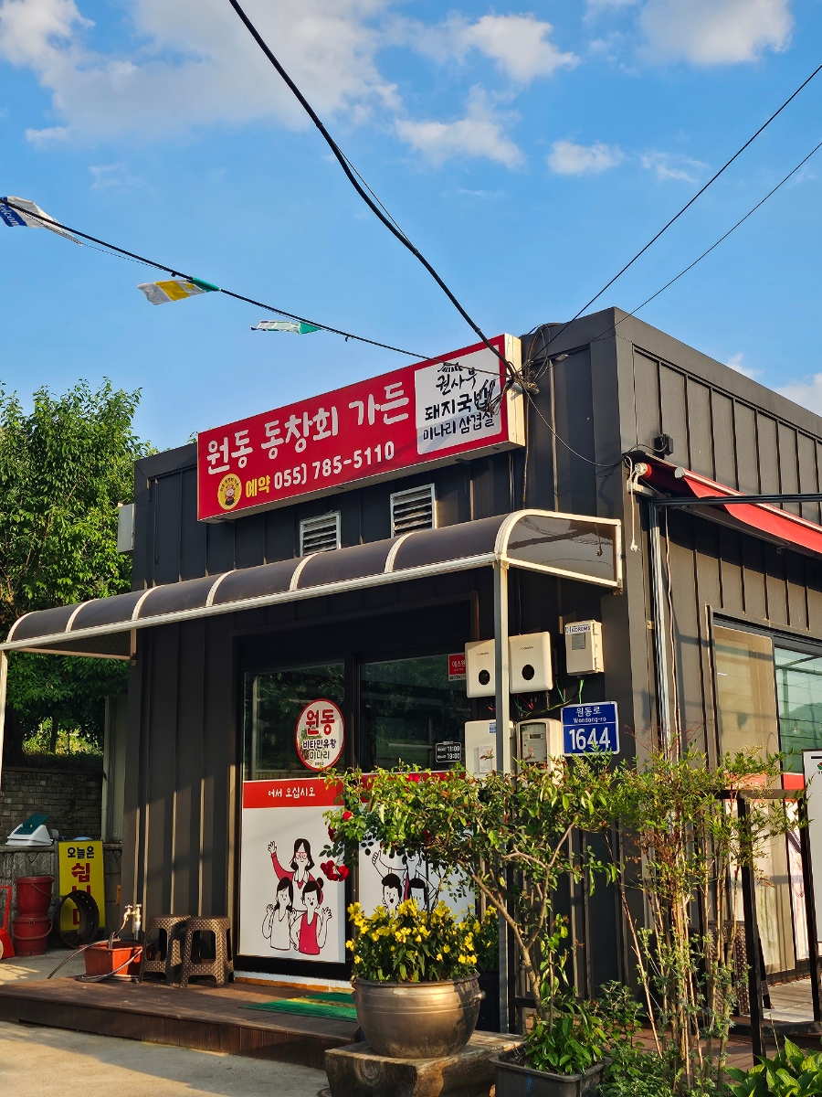 원동흑돼지 이미지