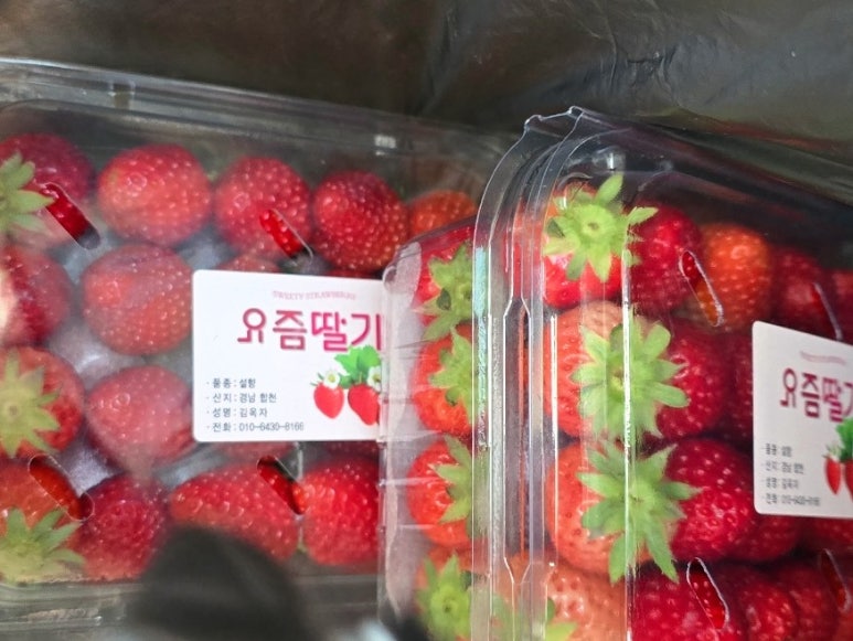 서문상회 이미지