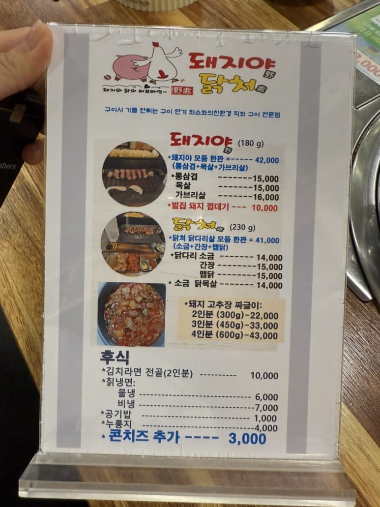 돼지야&닭 이미지