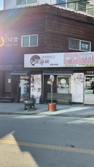 파니팡니 이미지