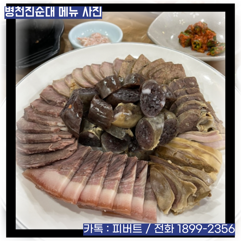 피버트 이미지