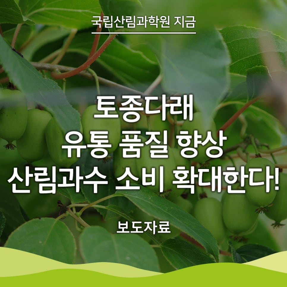 다래유통 이미지
