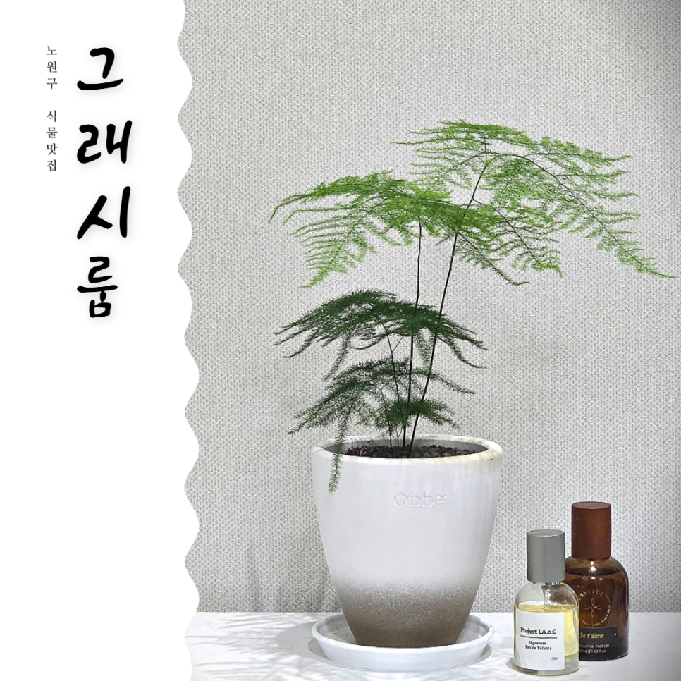 그래시룸 이미지
