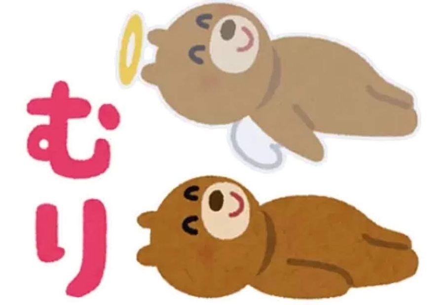 아라아라 이미지