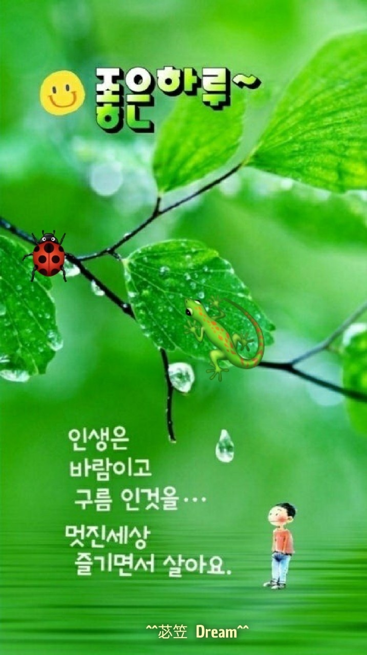 수지상사 이미지