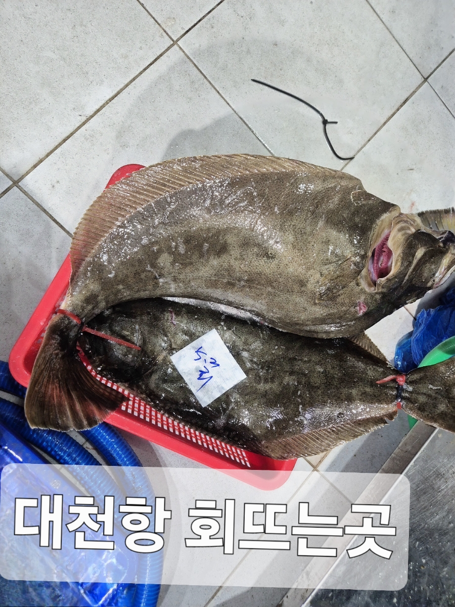 부흥수산 이미지