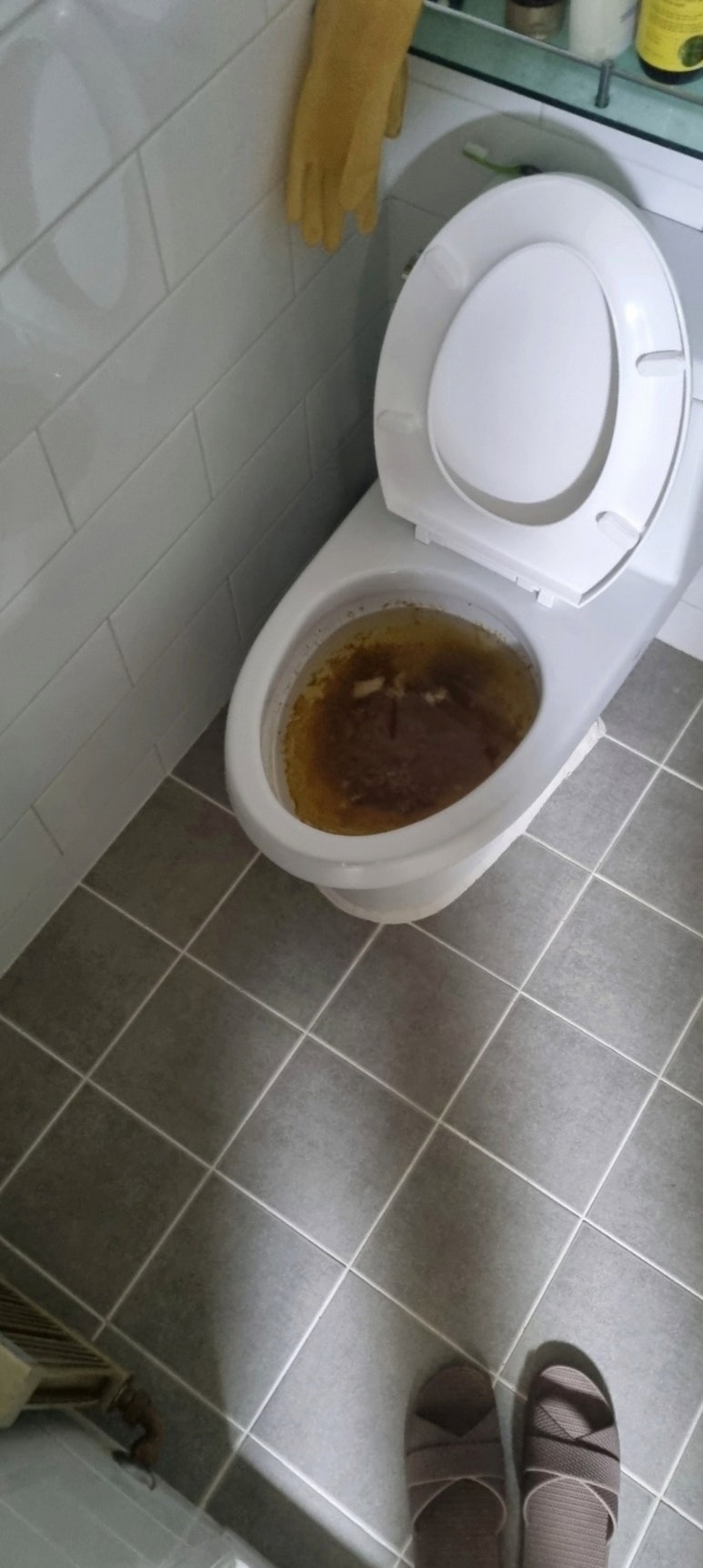 변기막힘 이미지