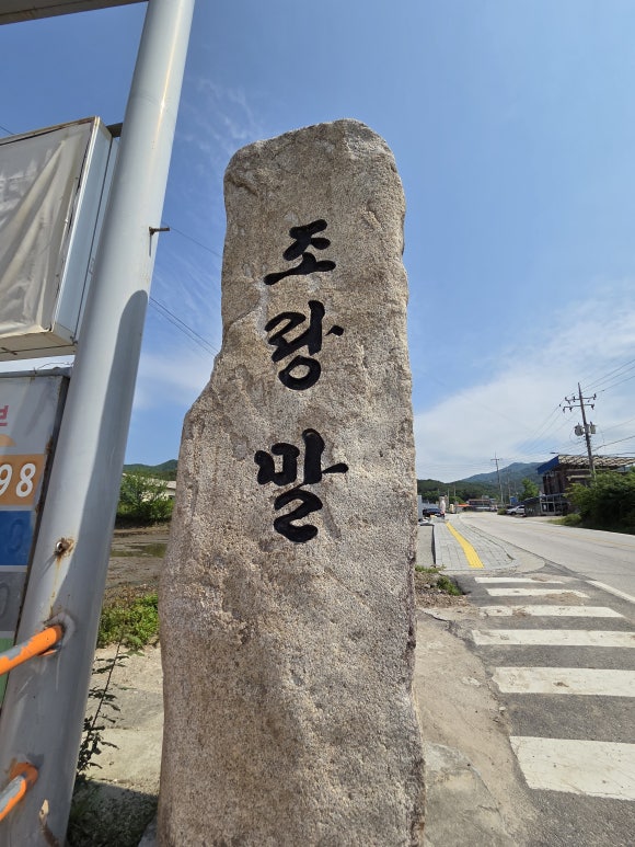 조랑말주유소 이미지