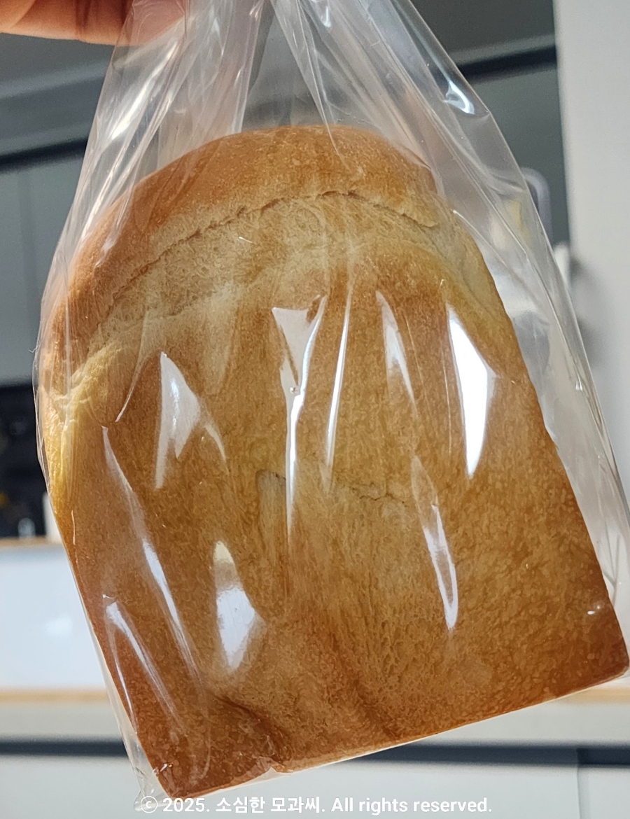 빵실빵실 이미지