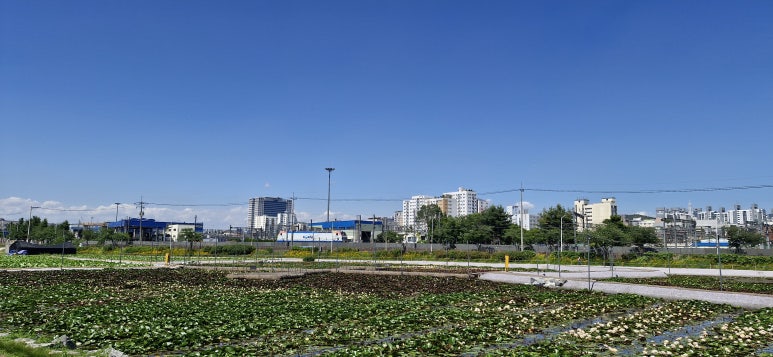로드웨이(주) 이미지