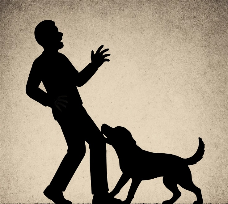 공동주택 반려동물 법규 소음