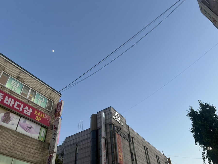 달마식당 사진 7