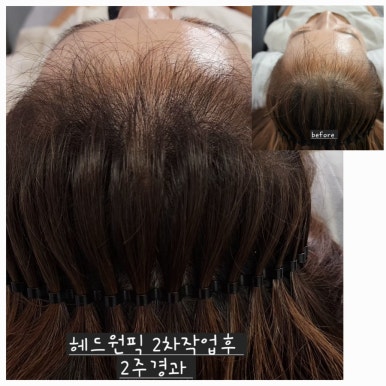 릿따 스타일 이미지
