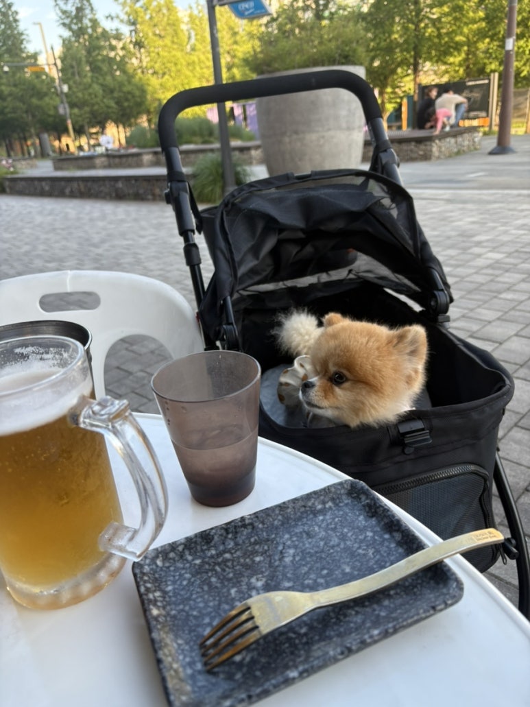 어거스트치킨동탄호수점 이미지