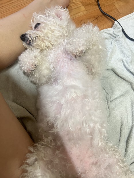 오도카니 이미지