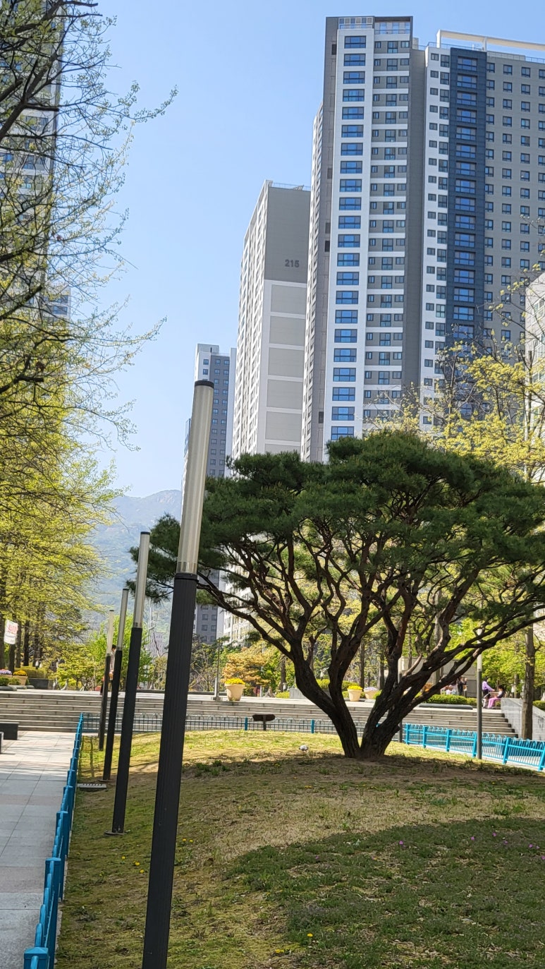 153식자재마트 이미지