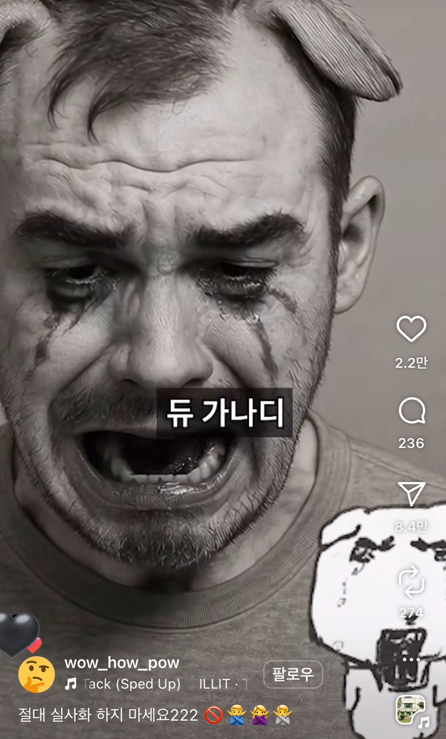 비디에스 이미지