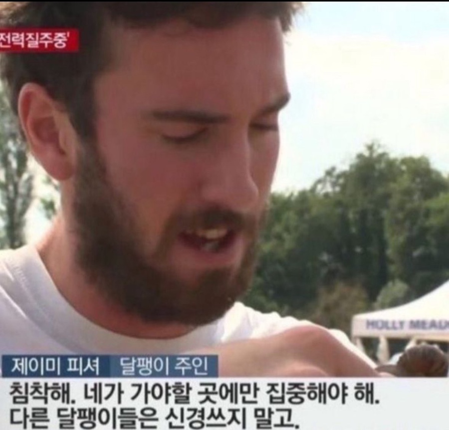 겨울지나봄 이미지