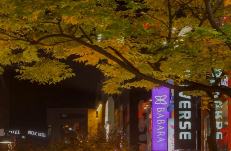 한솔디자인 이미지