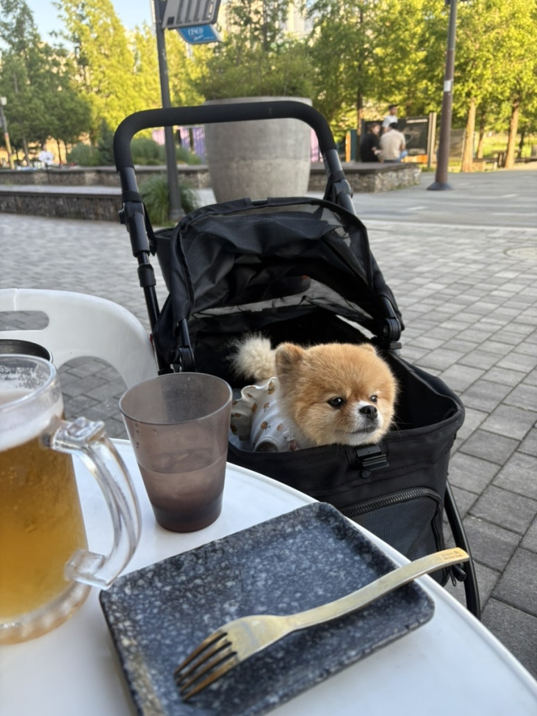 어거스트치킨동탄호수점 이미지